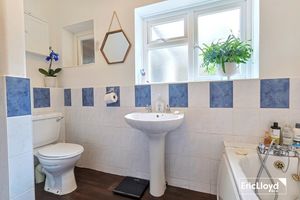 Photo 15- click for photo gallery